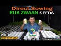 Direct Sowing of Lettuce Rijk Zwaan Seeds