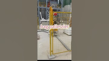 robotic bag palletizer #robot #palletizer #machine
