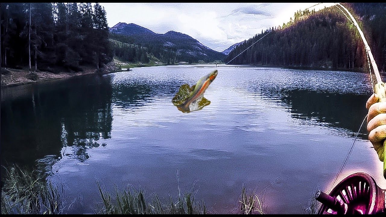 Fly fishing for Montana's most beautiful CUTTHROAT TROUT (MOUNTAIN