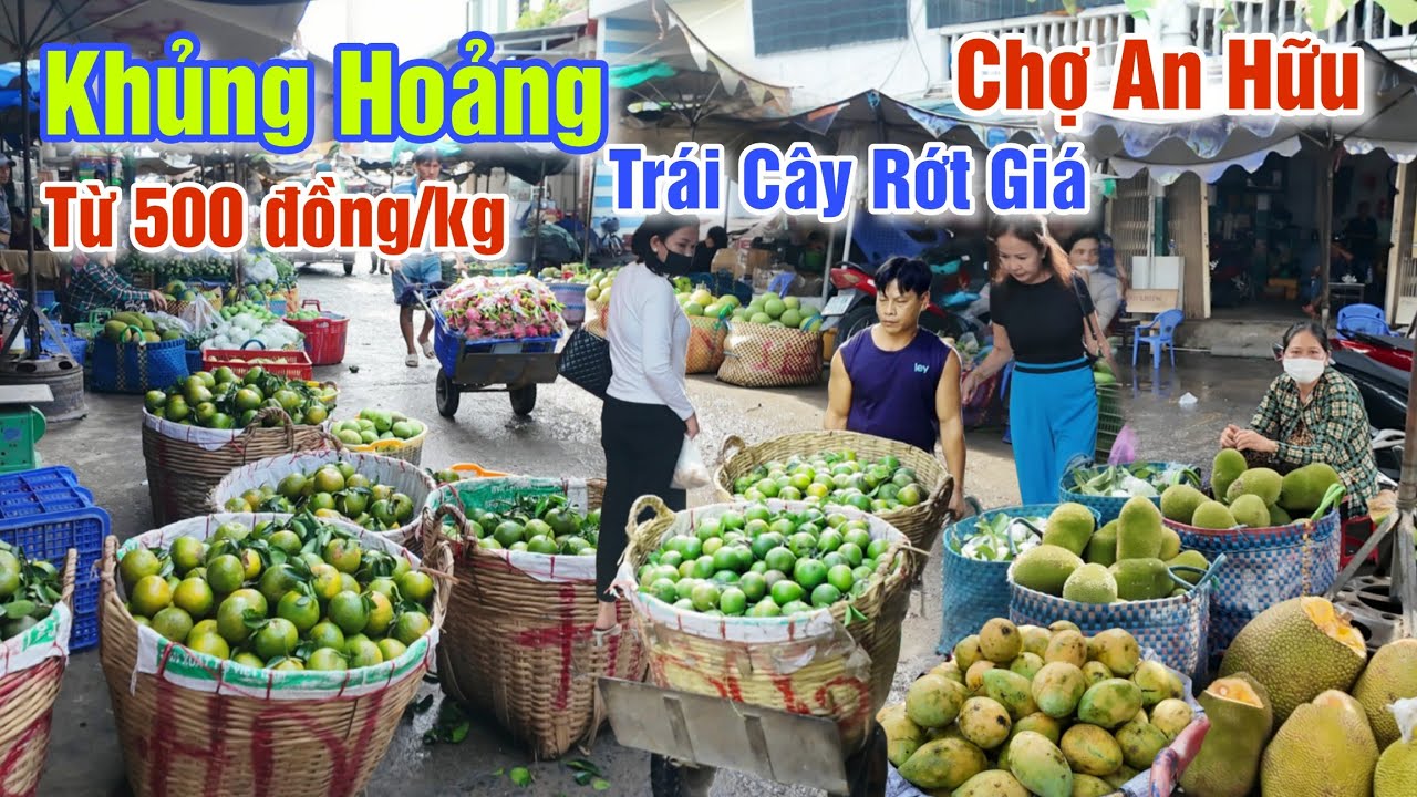 KHỦNG HOẢNG TRÁI CÂY RỚT GIÁ CHƯA TỪNG CÓ ỔI 500 ĐỒNG, XOÀI 2K CŨNG KHÔNG AI MUA Ở CHỢ AN HỮU?
