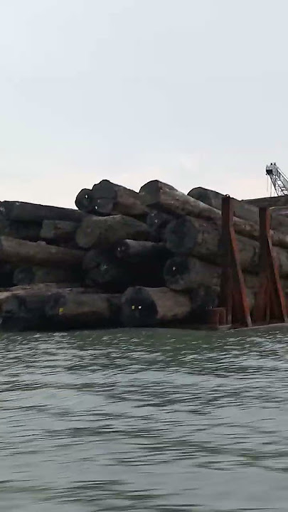 💯Tongkang Hampir tenggelam.#shorts #tugboat #logging #tongkang