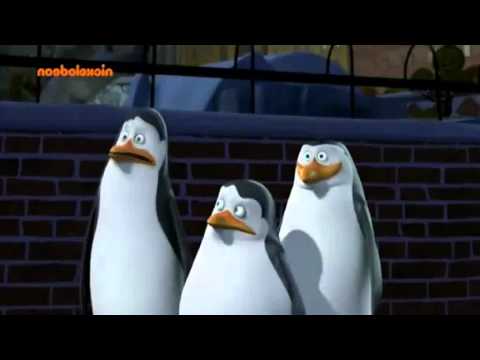 Penguins of Madagascar Clip - What did Kowalski say?