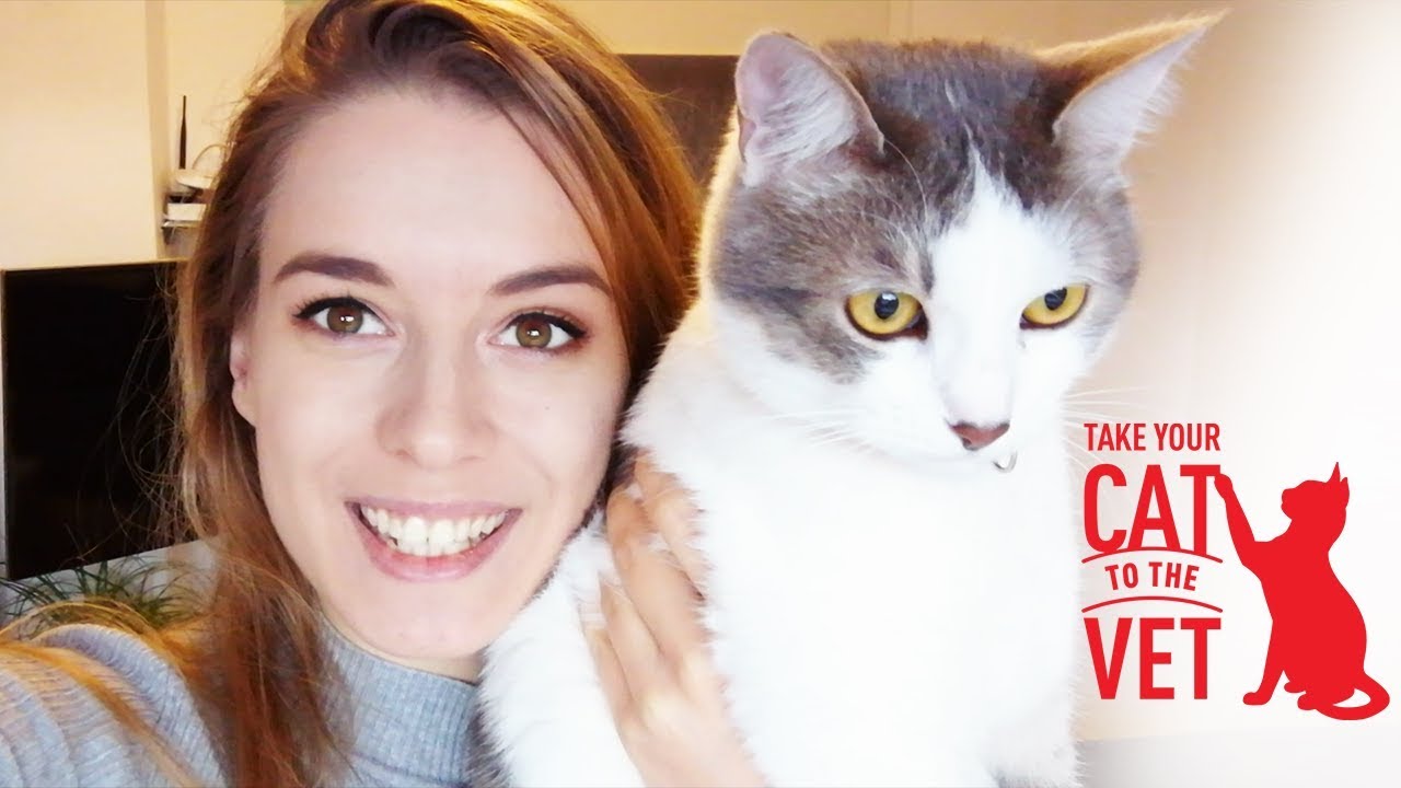 Miša gre k veterinarju - VLOG #Cat2Vet
