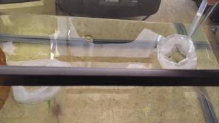 Unboxing cherry and blueberry shrimp from Bobs Tropical Plants