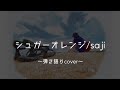 シュガーオレンジ/saji 弾き語りcover 【歌詞付き】