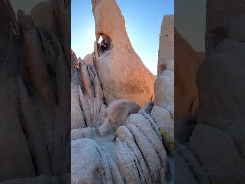 Agua Caliente New Fire Link Slot