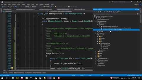 ImageSharp Size issue