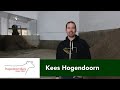 Hogendoorn Dairy Sand Separation System