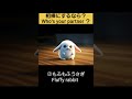 相棒にするなら?【AI ASMR】