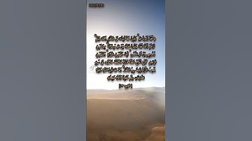 القرآن الكريم/سورة الفتح/ الاية 29/quran/surat Al fateh