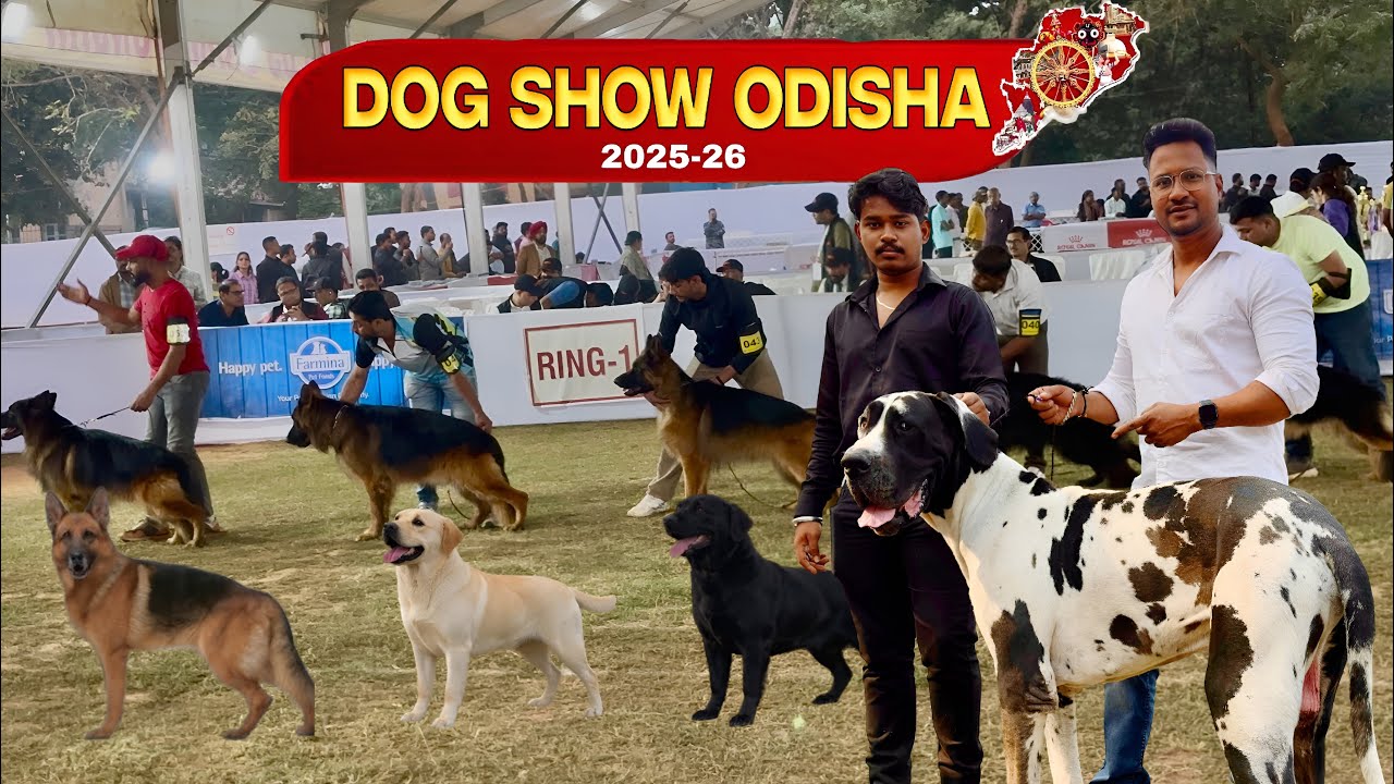 DOG SHOW ODISHA 2025 || ORISSA KENNEL CLUB || 