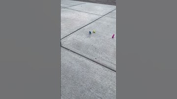 which one did you think was going to win? 😱 #sensory #satisfying #fidgets