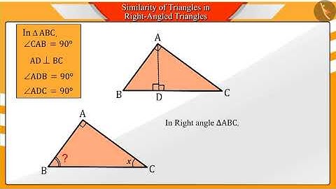 Pythagoras Theorem | Part 1/3 | English | Class 10