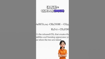 Why do baking soda and vinegar fizz so much when they react?