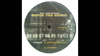 Hybridz - Strength (G-Tabro Punchy Mix)