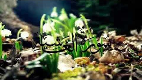 سورة الغاشية -إدريس أبكر