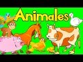 Sonidos de Animales para bebes | Aprende los Animales | Videos para Niños |  lunacreciente