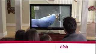 Noahs Dish Commercial