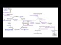 Overview of Metabolism [Part 4] | Glutamate, Glutamine, & Nucleotide Biosynthesis