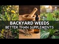 15 Backyard Weeds That Are Worth More Than Any Supplement on Store Shelves