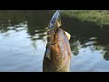 We Caught Bass on the BASSDASH Bone Swimbait! 🎣 | Multi-Jointed Fishing Lure Review