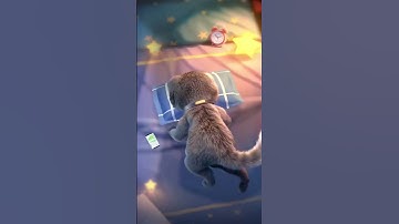 Enhance your video editing skills with this essential tool