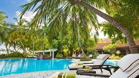 INSTANT WEALTH REVIEW By Mathew Walker Is Instant Wealth System Scam Or Legit? My Results!