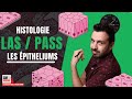 LES EPITHELIUMS (revêtement et glandulaire) :  🧫 Vous ne verrez plus l'HISTOLOGIE de la même façon !