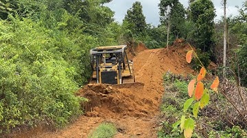 Unstoppable Power! D6R XL Bulldozer Fixes Plantation Roads Fast