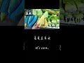 You can learn Chinese just by watching the videos. #comprehensibleinput #learnchinese