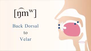 Details [ ŋ͡mʷ ] voiced labialized labial coarticulated back dorsal velar nasal stop Update