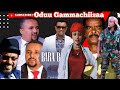 Taaddalaa Gammachuu Dhufe Tplf Maqaleetti Galte Kaleessa Doktora Harra WBO Shamarree Ajaa Ibaa 