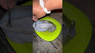 Pertama Kali Sahur Di Rumah Pohon