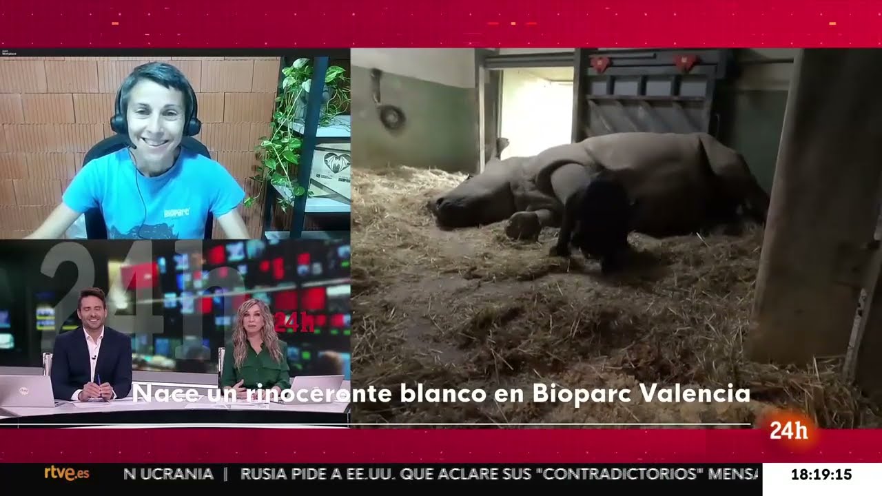 Canal 24h TVE: Entrevista sobre el nacimiento de un rinoceronte blanco en BIOPARC Valencia