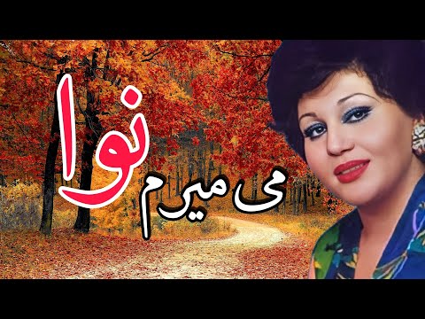 می میرم نوا