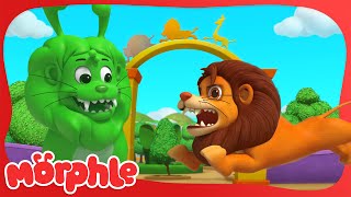 Download Lagu Real Lion, Green Lion - Morphle and Mila | Cartoons and Kids Stories MP3 Download Lagu Real Lion, Green Lion - Morphle and Mila | Cartoons and Kids Stories MP3