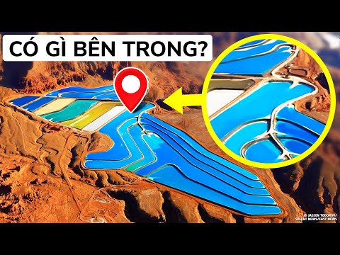 Video: Tại sao tinh thể lỏng đổi màu theo nhiệt độ?