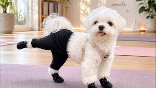 気まぐれゲリラ金8LIVE✨嬉しいお知らせも有✨🐶