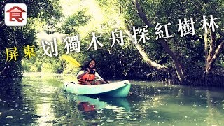 【台灣自由行】屏東隱藏玩法划獨木舟探紅樹林