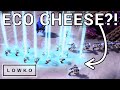 StarCraft 2: Has&#39;s NEW ECO CHEESE Strategy! (Best-of-5)