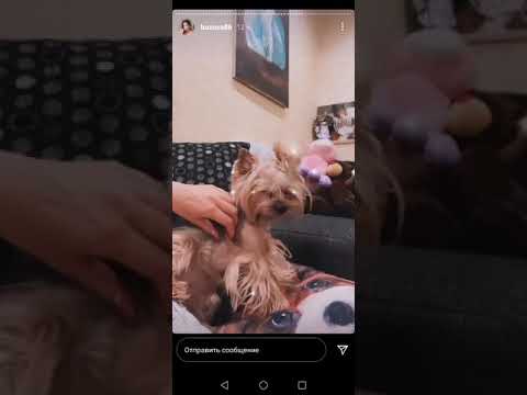 Ольга Бузова (отдыхает