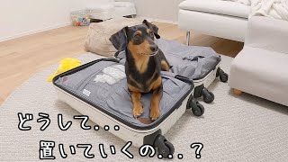 旅行に連れて行ってもらえないと分かった犬の抗議が可愛すぎたw