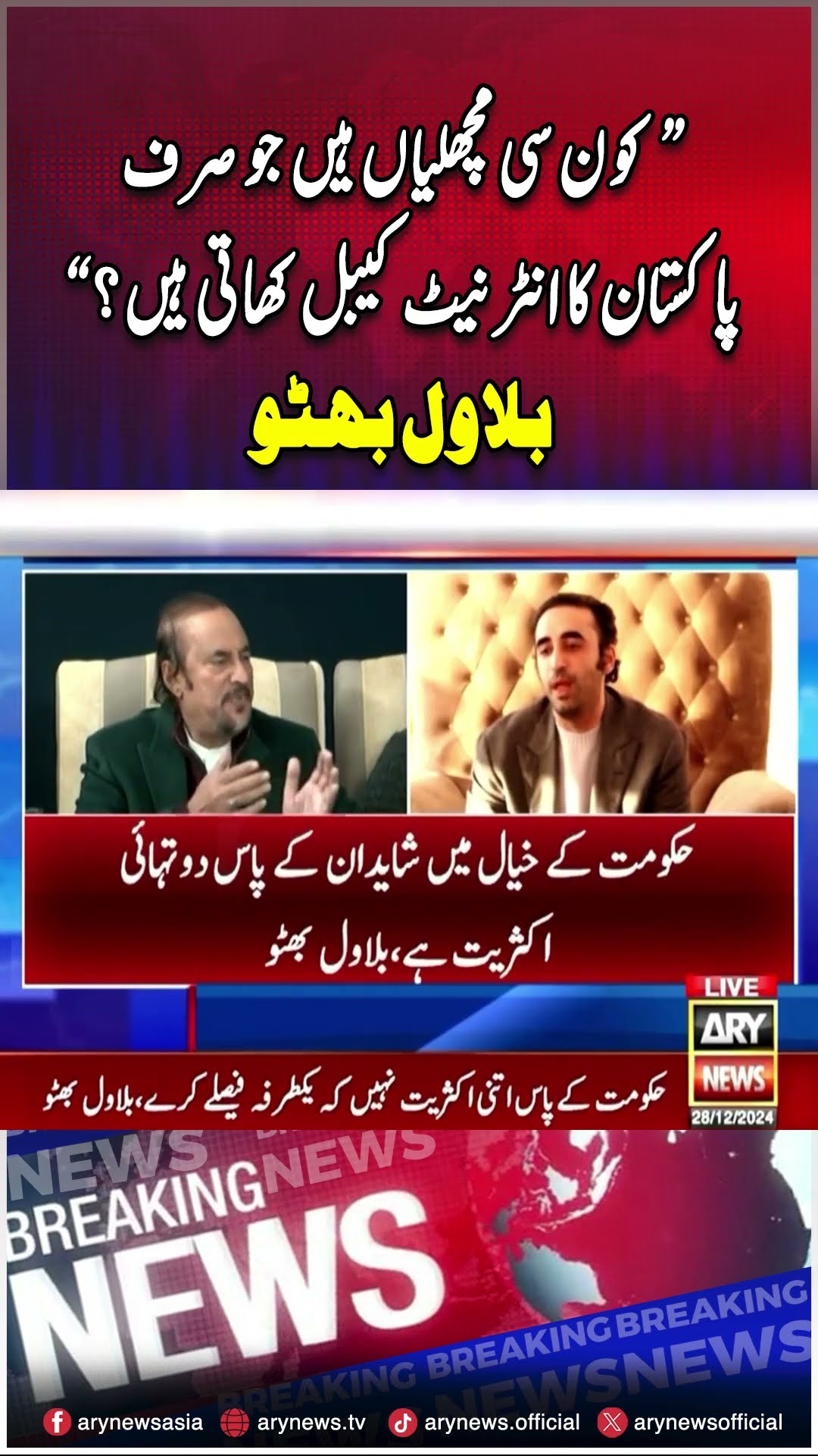 #bilawalbhutto #internetcables #internetspeed #fish #pmlngovt #arynews #youtubeshorts #reels
