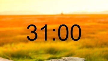 31 Minute Timer