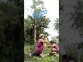 buhay probinsya ...