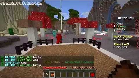 Hacker In Sheep Quest | Mineplex