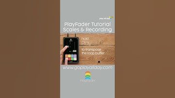 PlayFader Tutorial by @pitchpatch  - Scales & Recording  #playfader #eurorack #sequencer