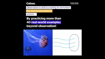 Frame by Frame 2D Animation - Observation
