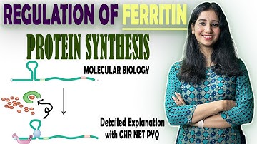 FERRITIN PROTEIN TRANSLATION REGULATION I Molecular Biology I Detailed Explanation with CSIR NET PYQ