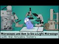 Microscope Magic: Unveiling the World of Protists and Magnification